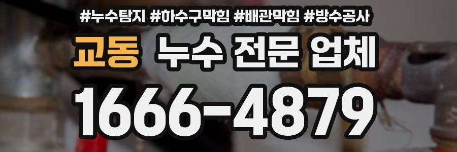 교동 누수 전문 업체
