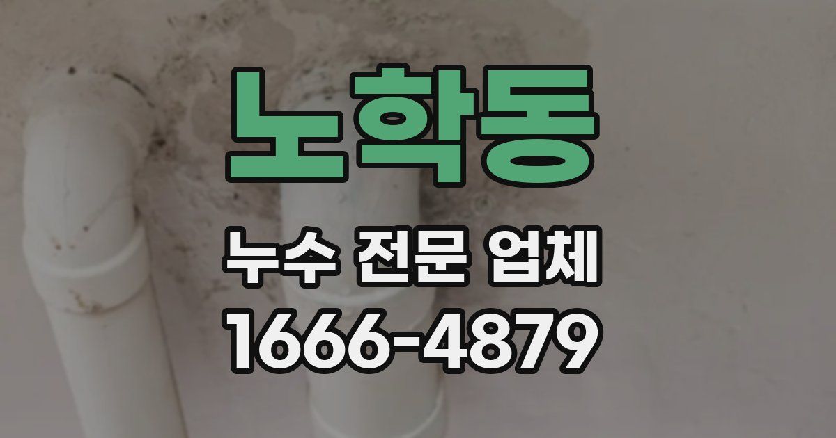 노학동 누수 전문 업체