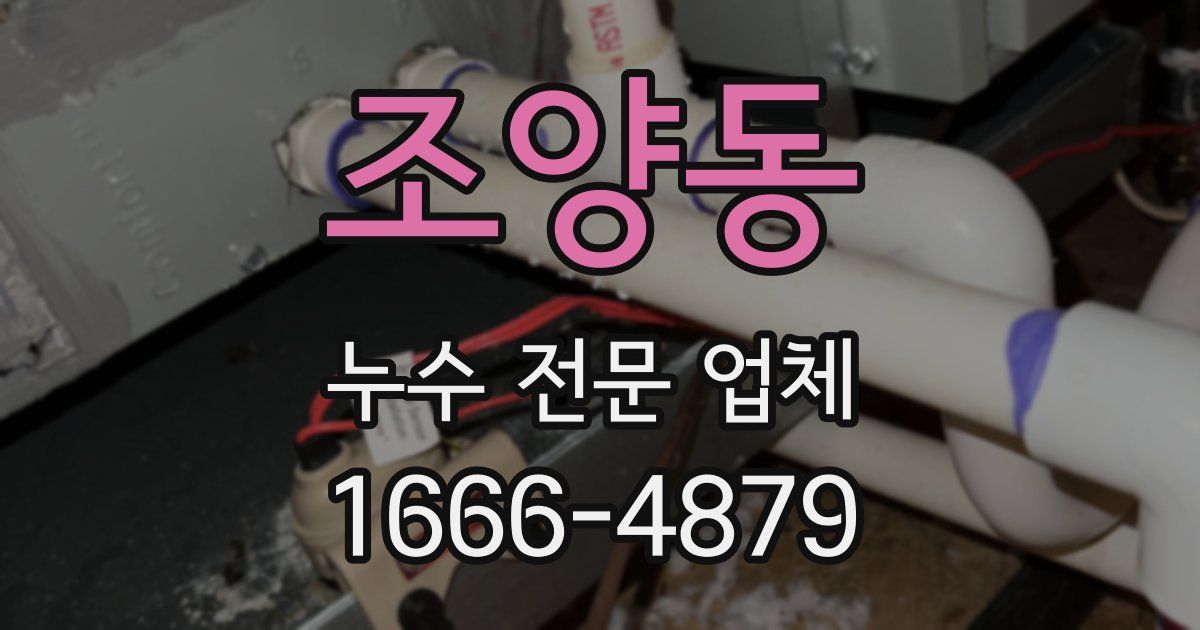 조양동 누수 전문 업체