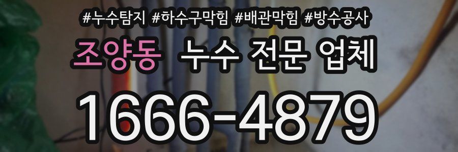 조양동 누수 전문 업체