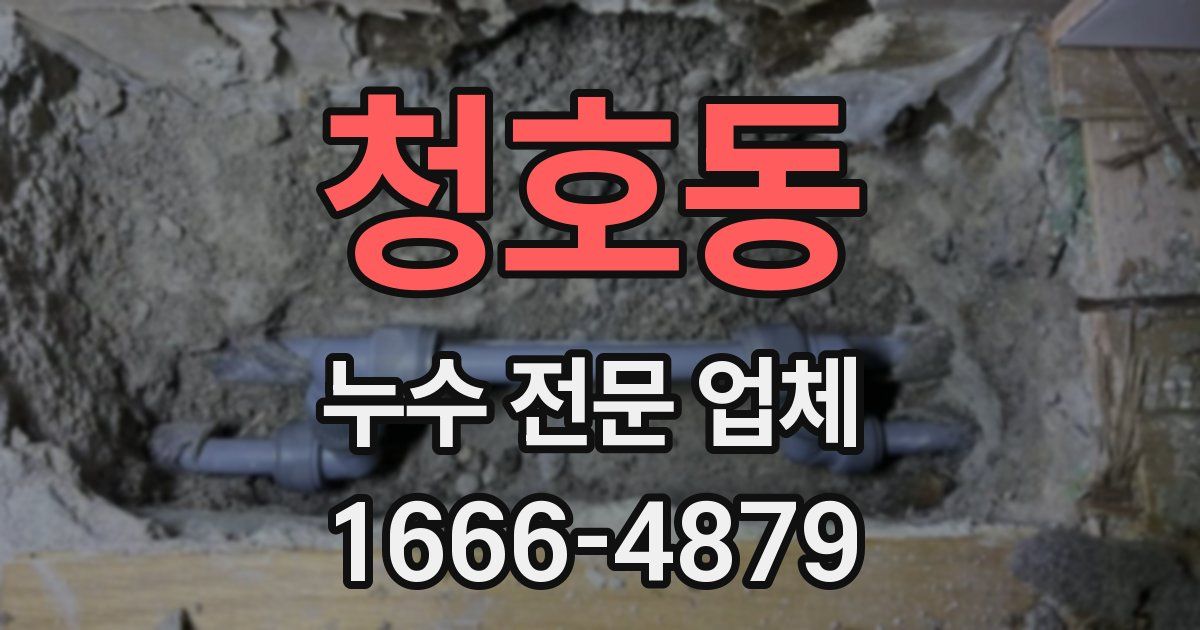 청호동 누수 전문 업체