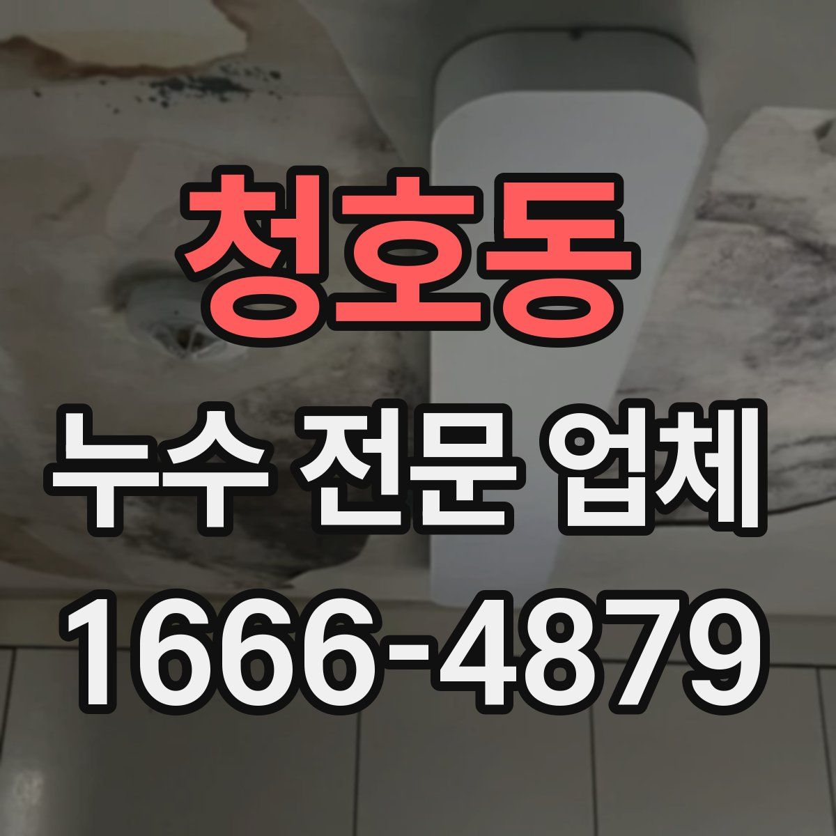 청호동 누수 전문 업체