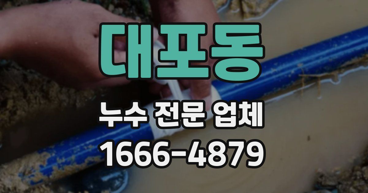 대포동 누수 전문 업체