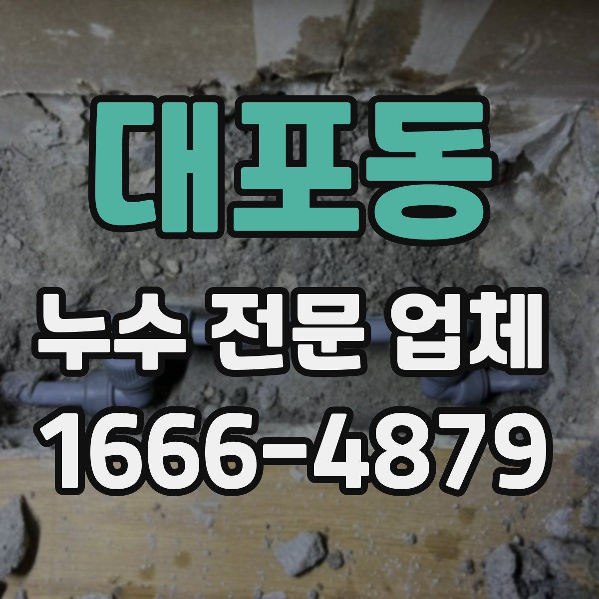 대포동 누수 전문 업체