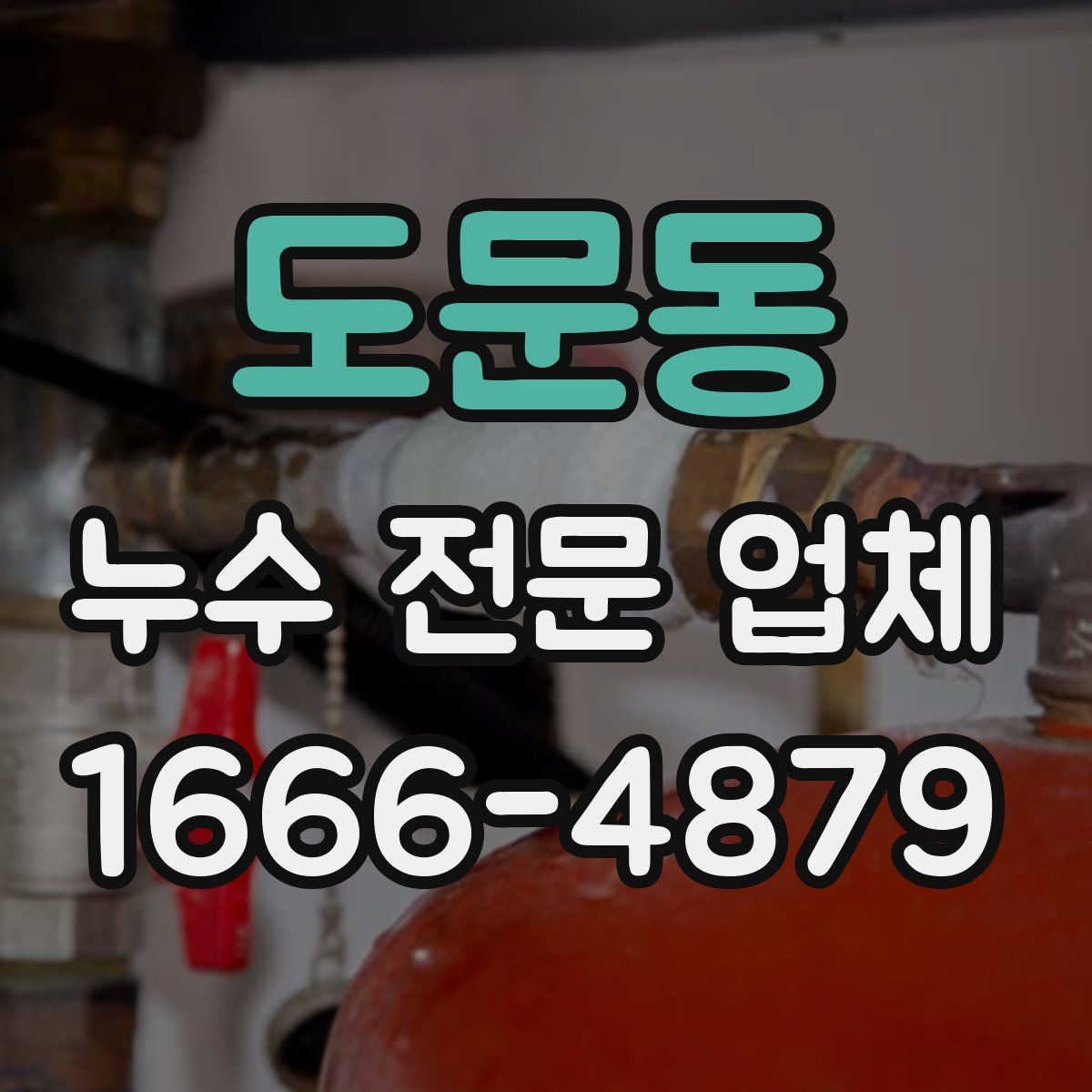 도문동 누수 전문 업체
