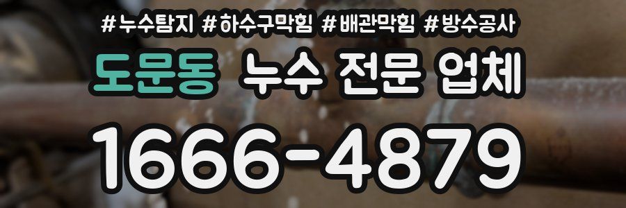 도문동 누수 전문 업체