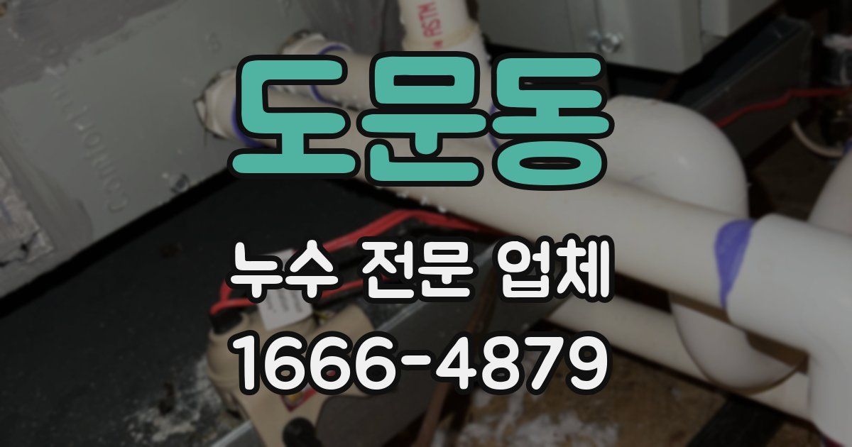 도문동 누수 전문 업체