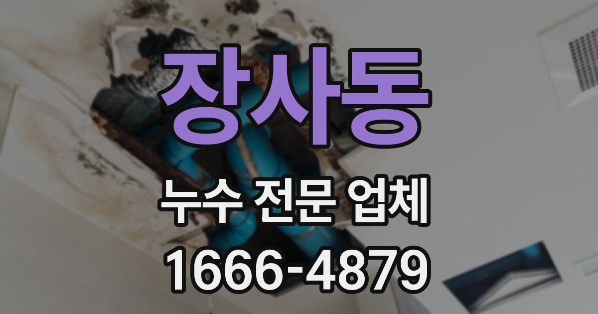 장사동 누수 전문 업체