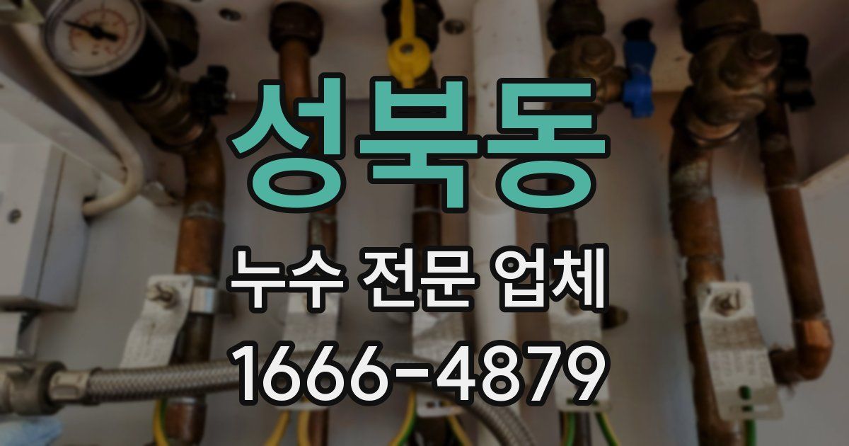 성북동 누수 전문 업체