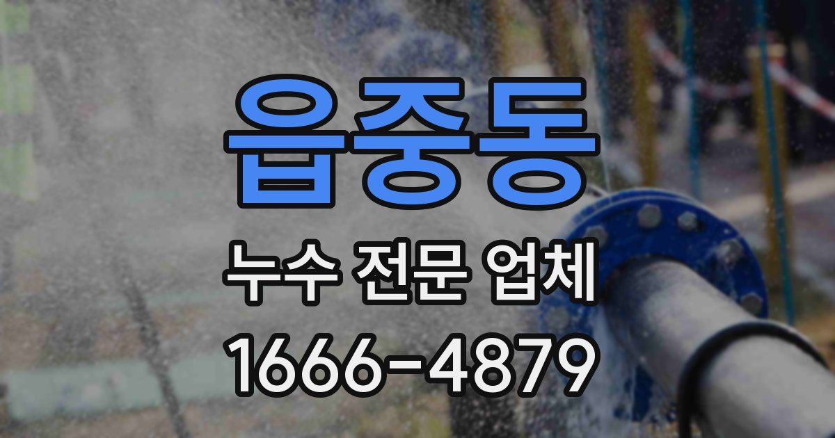 읍중동 누수 전문 업체