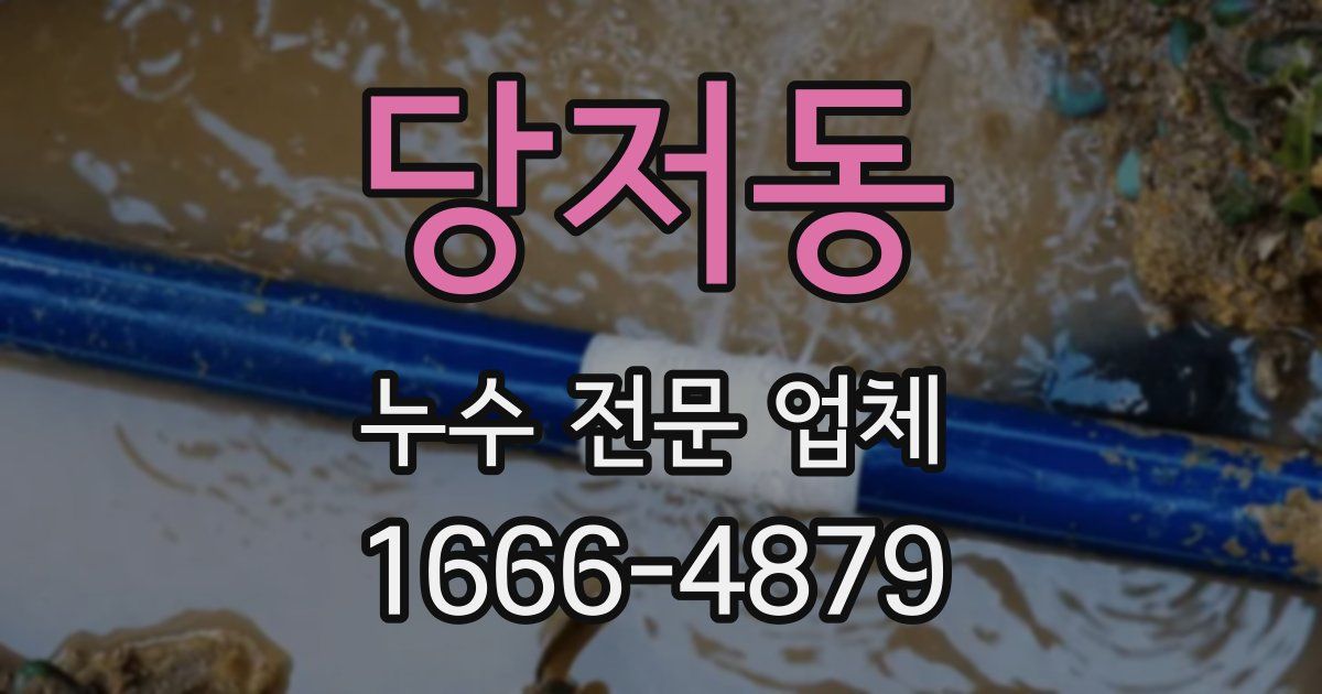 당저동 누수 전문 업체