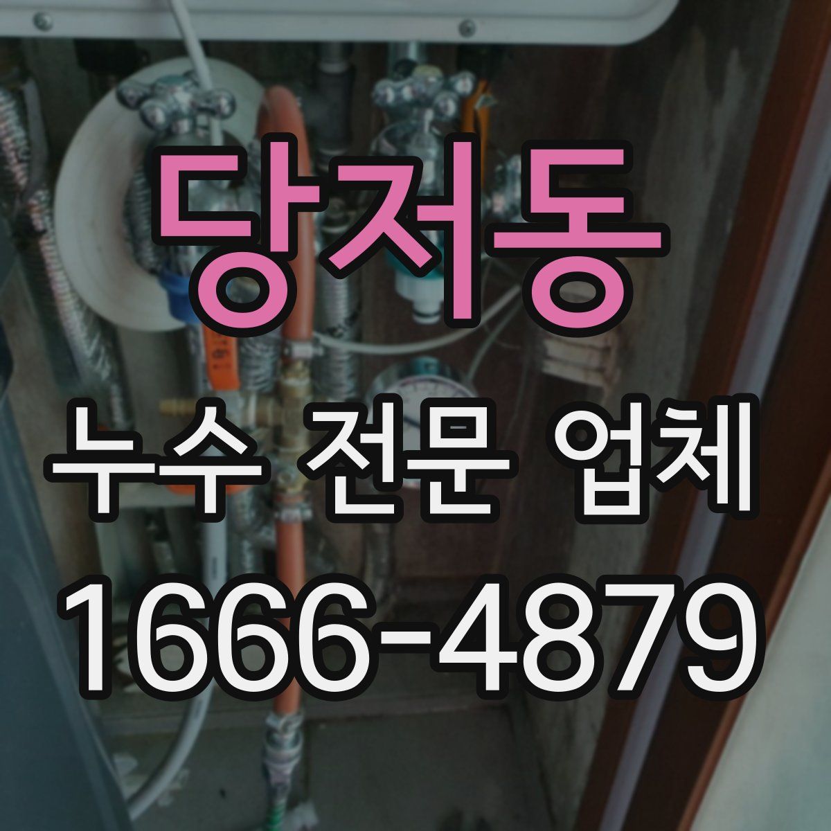 당저동 누수 전문 업체