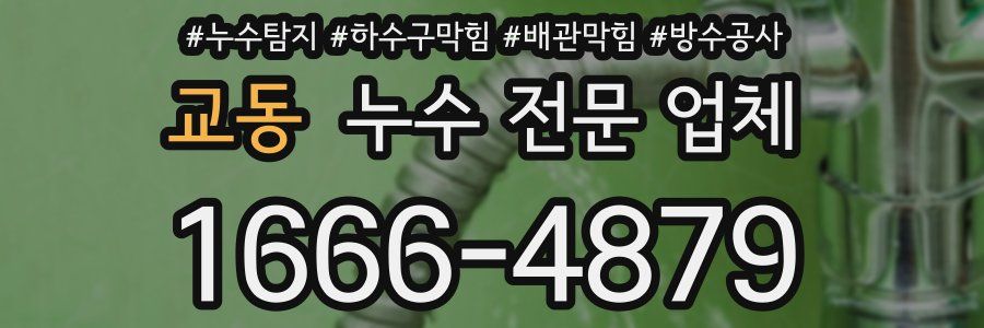 교동 누수 전문 업체