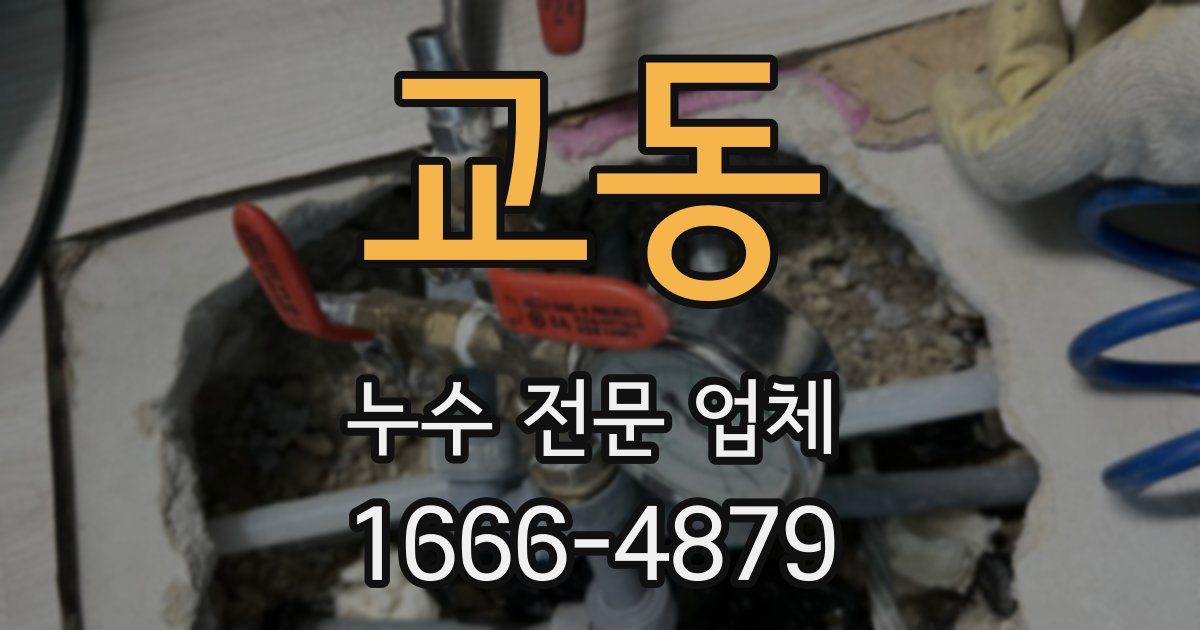 교동 누수 전문 업체