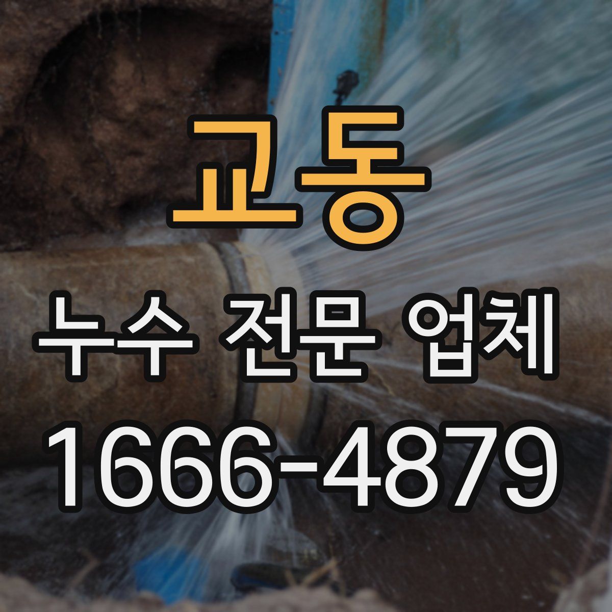 교동 누수 전문 업체