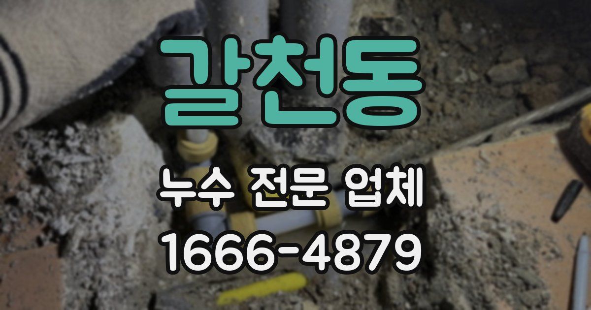 갈천동 누수 전문 업체