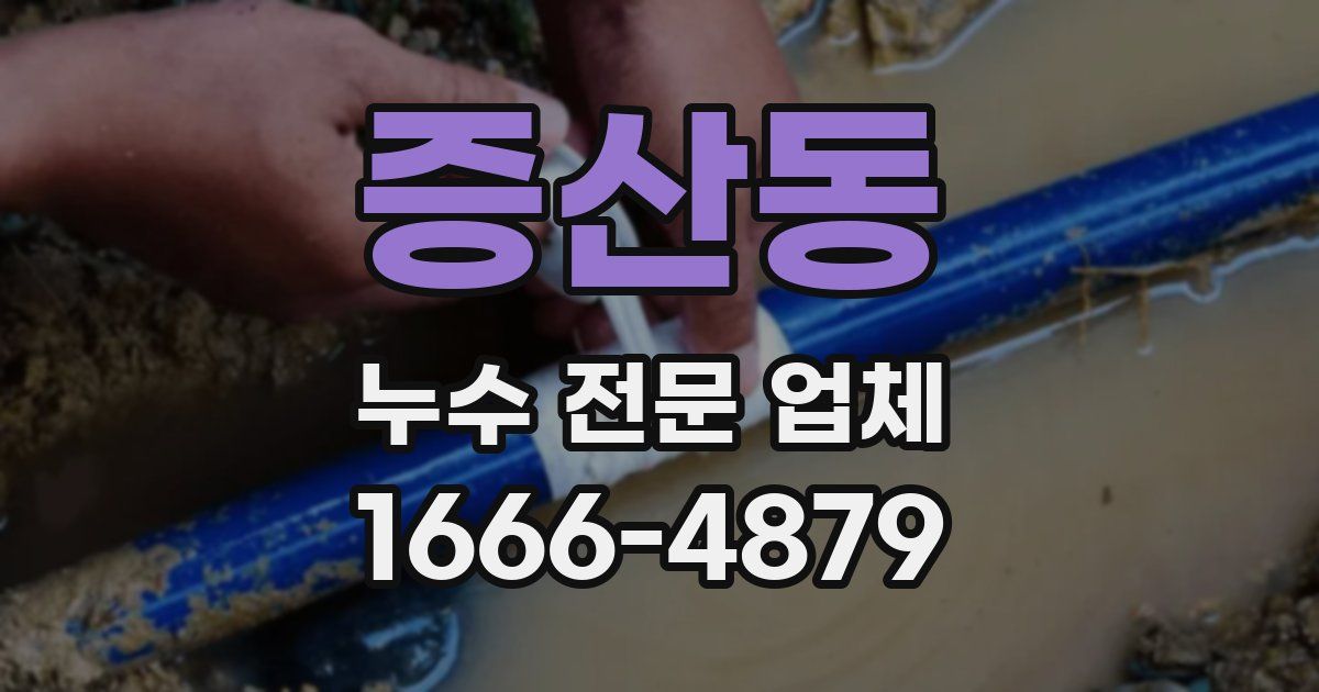 증산동 누수 전문 업체