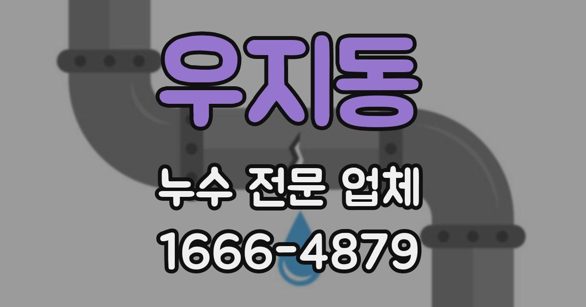 우지동 누수 전문 업체
