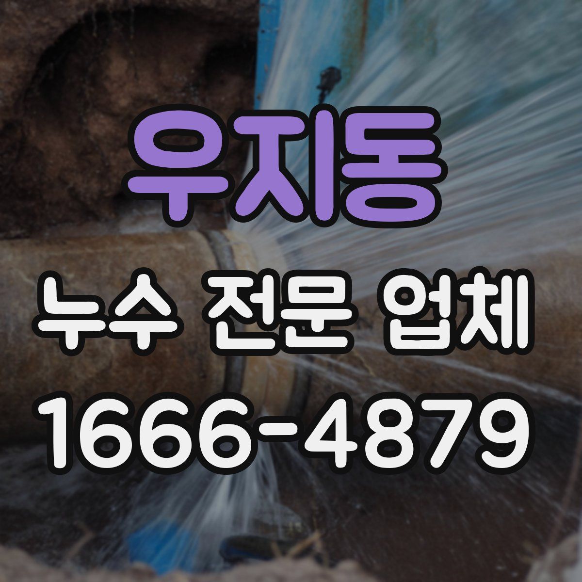 우지동 누수 전문 업체