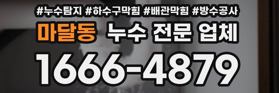 마달동 누수 전문 업체