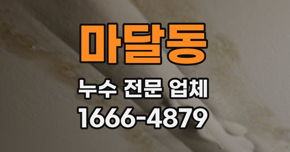 마달동 누수 전문 업체
