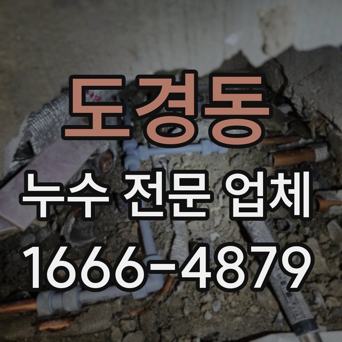 도경동 누수 전문 업체