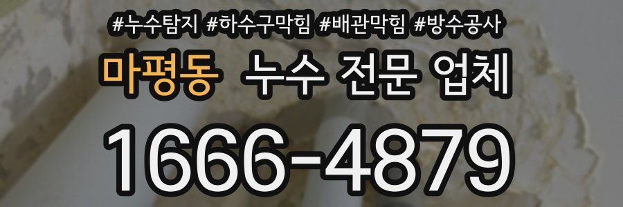 마평동 누수 전문 업체