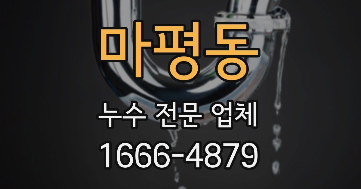 마평동 누수 전문 업체