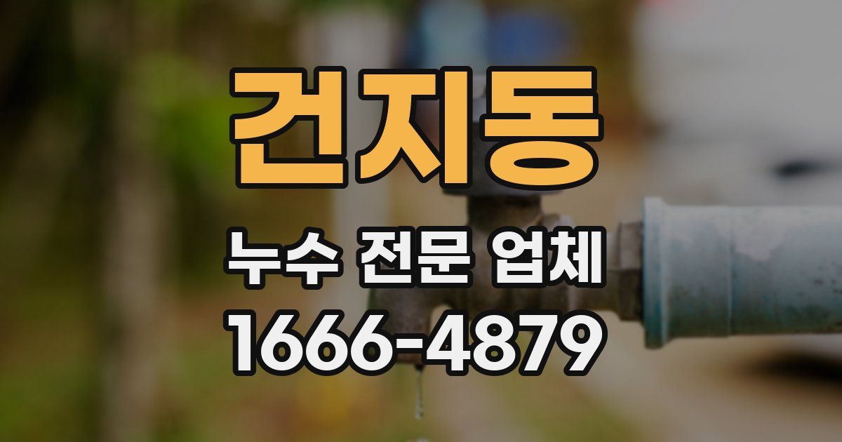 건지동 누수 전문 업체