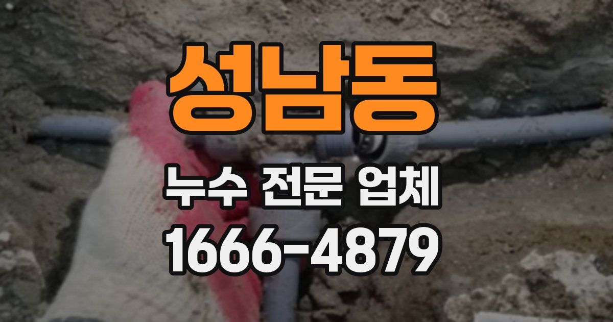 성남동 누수 전문 업체