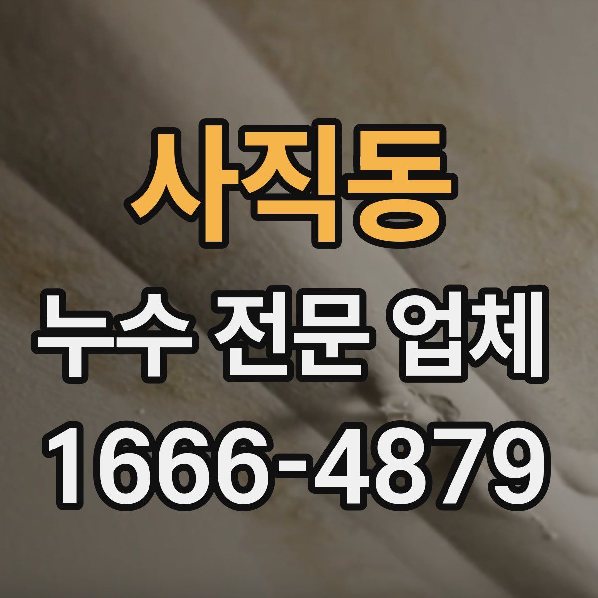 사직동 누수 전문 업체