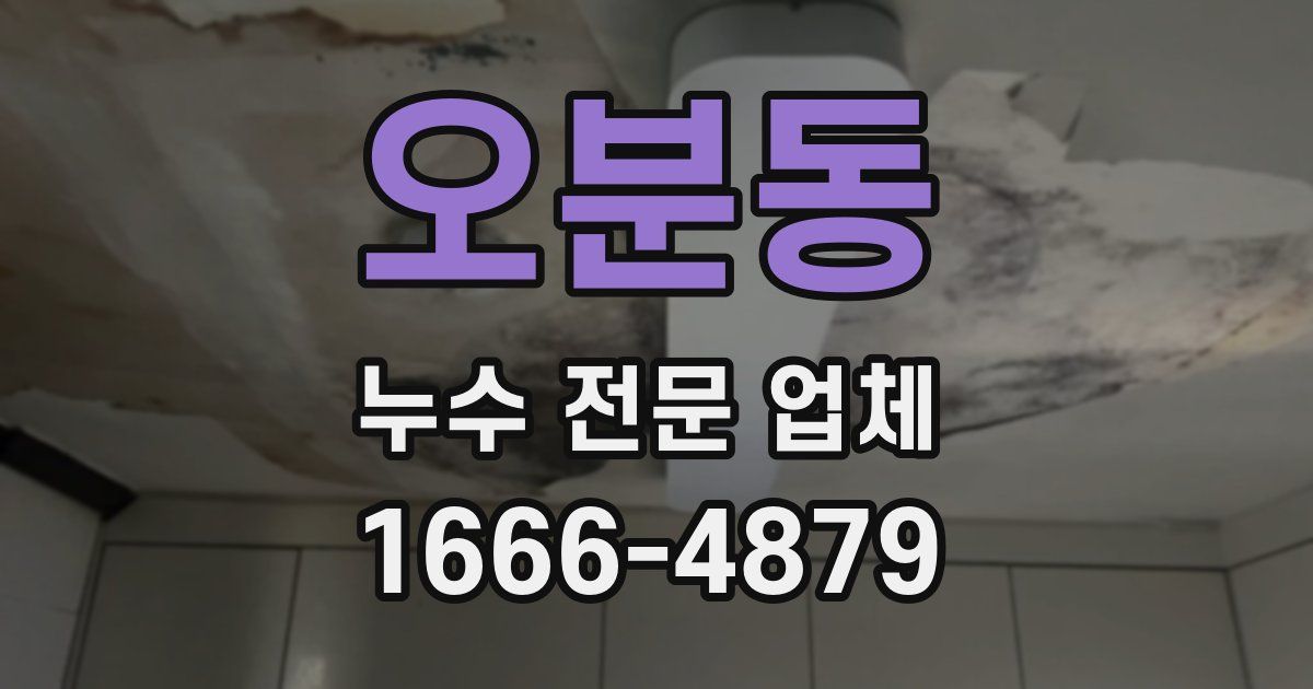 오분동 누수 전문 업체