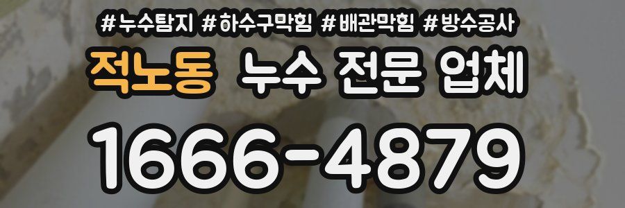 적노동 누수 전문 업체
