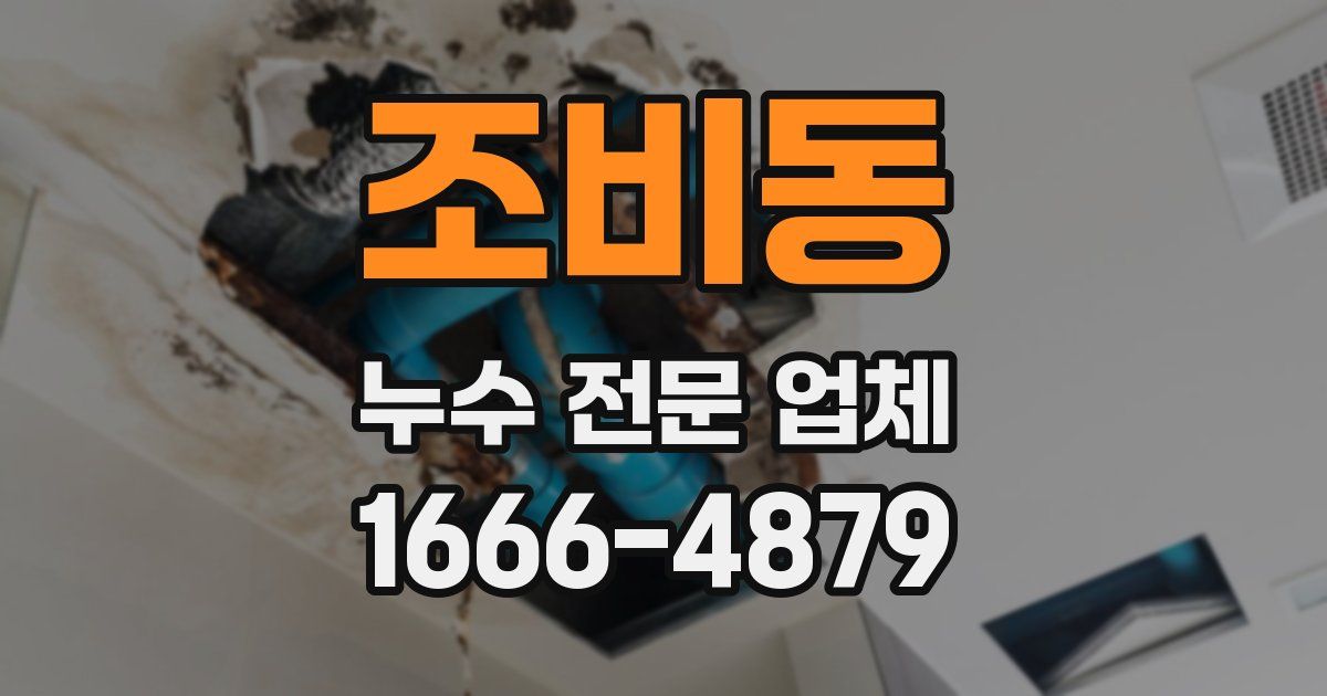 조비동 누수 전문 업체