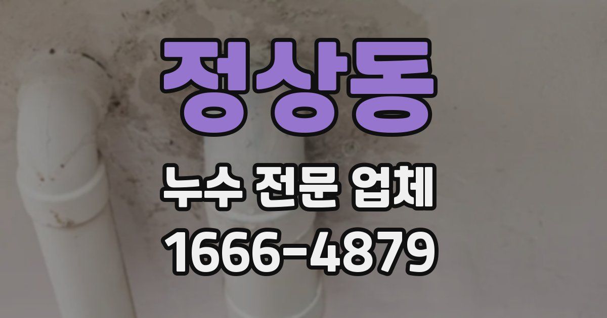 정상동 누수 전문 업체