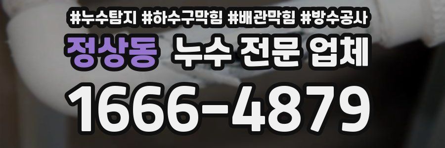 정상동 누수 전문 업체