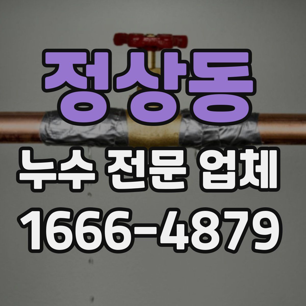 정상동 누수 전문 업체