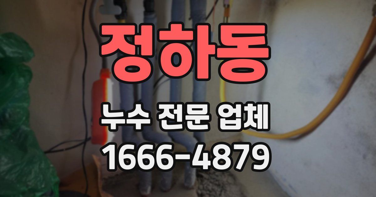 정하동 누수 전문 업체