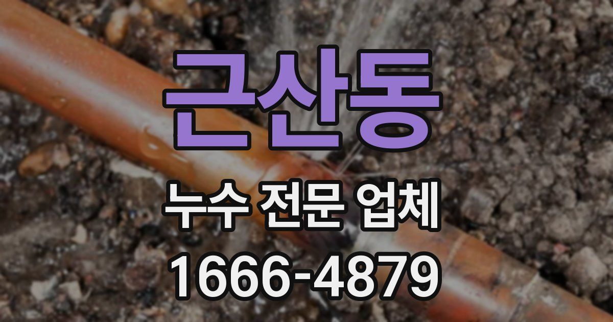 근산동 누수 전문 업체