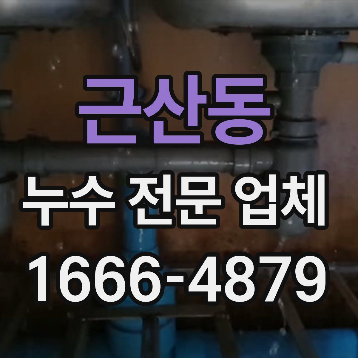 근산동 누수 전문 업체