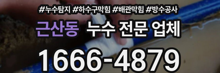 근산동 누수 전문 업체