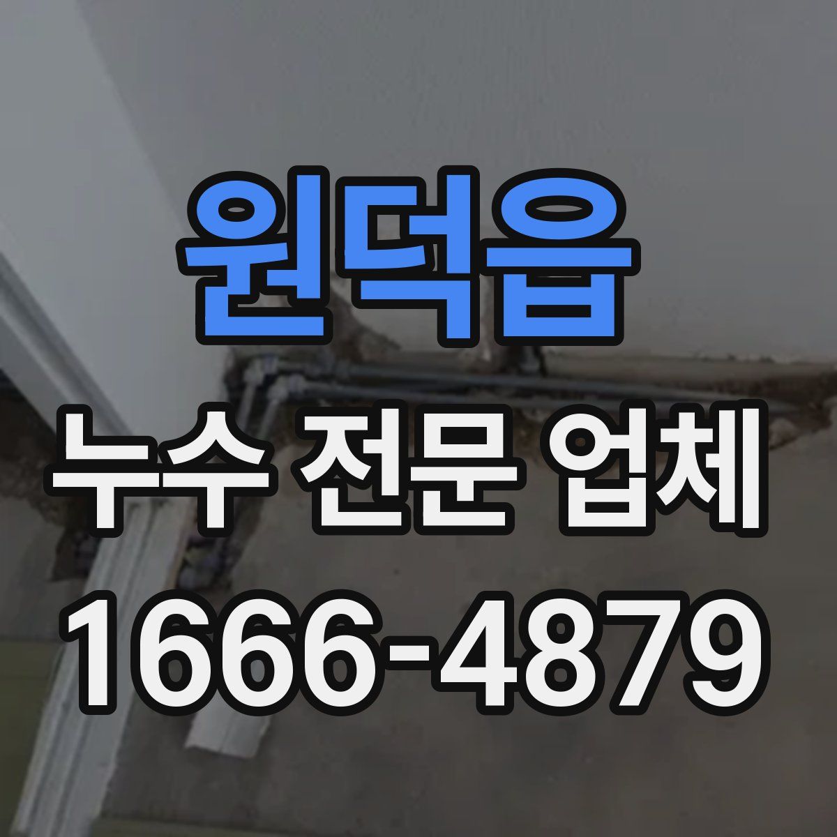 원덕읍 누수 전문 업체