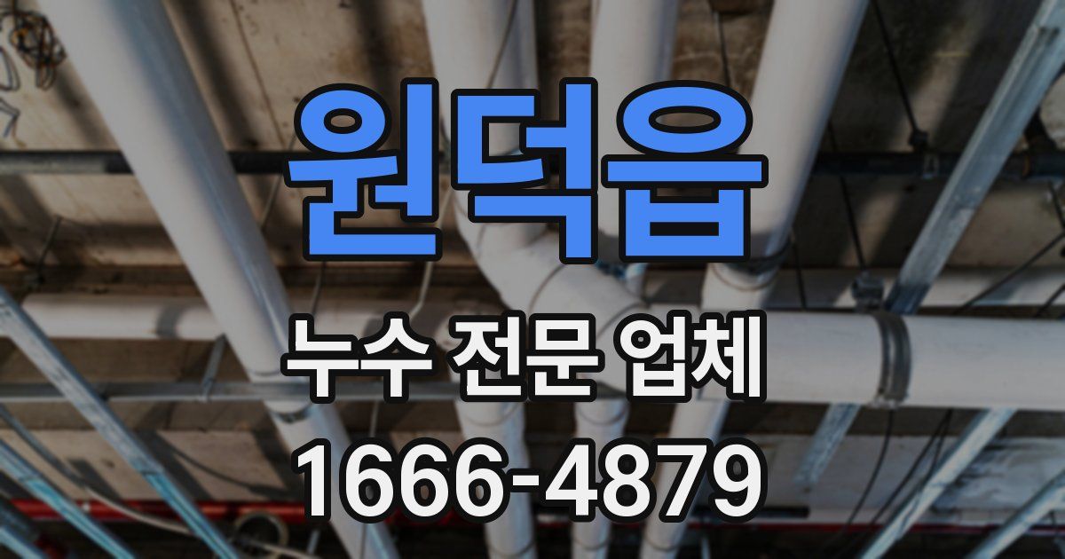 원덕읍 누수 전문 업체