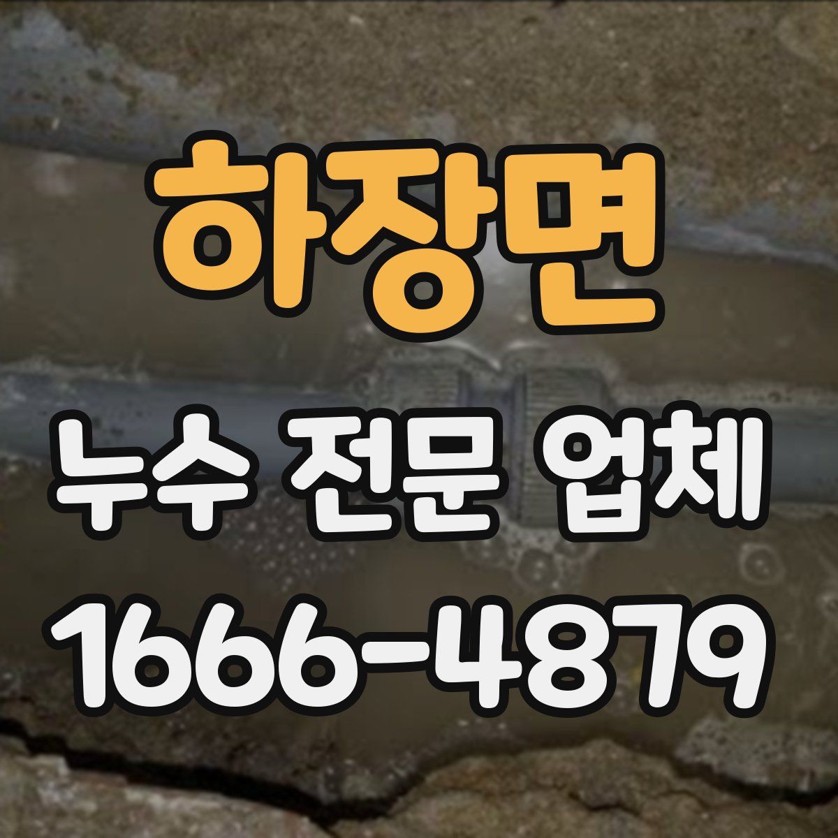 하장면 누수 전문 업체