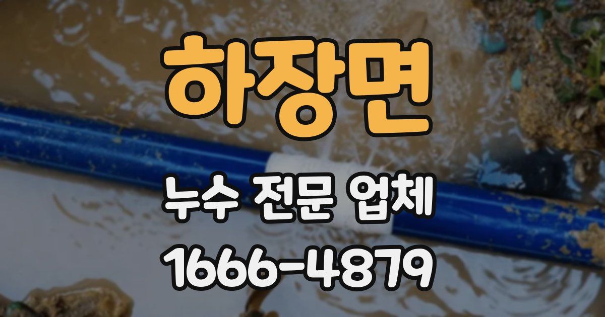 하장면 누수 전문 업체