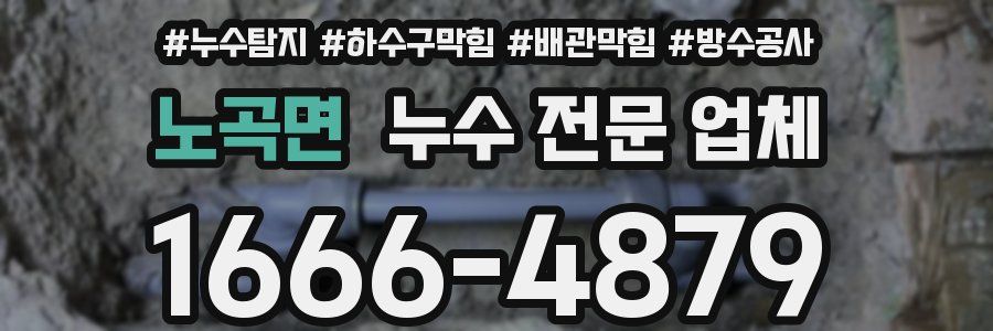 노곡면 누수 전문 업체