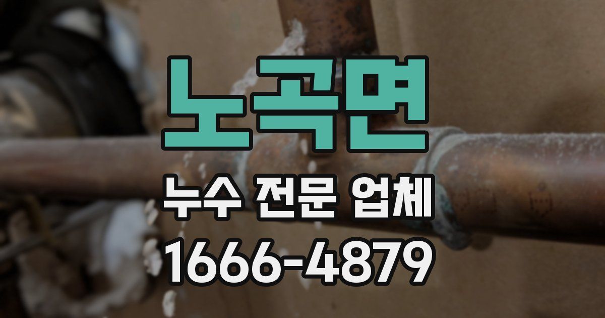 노곡면 누수 전문 업체