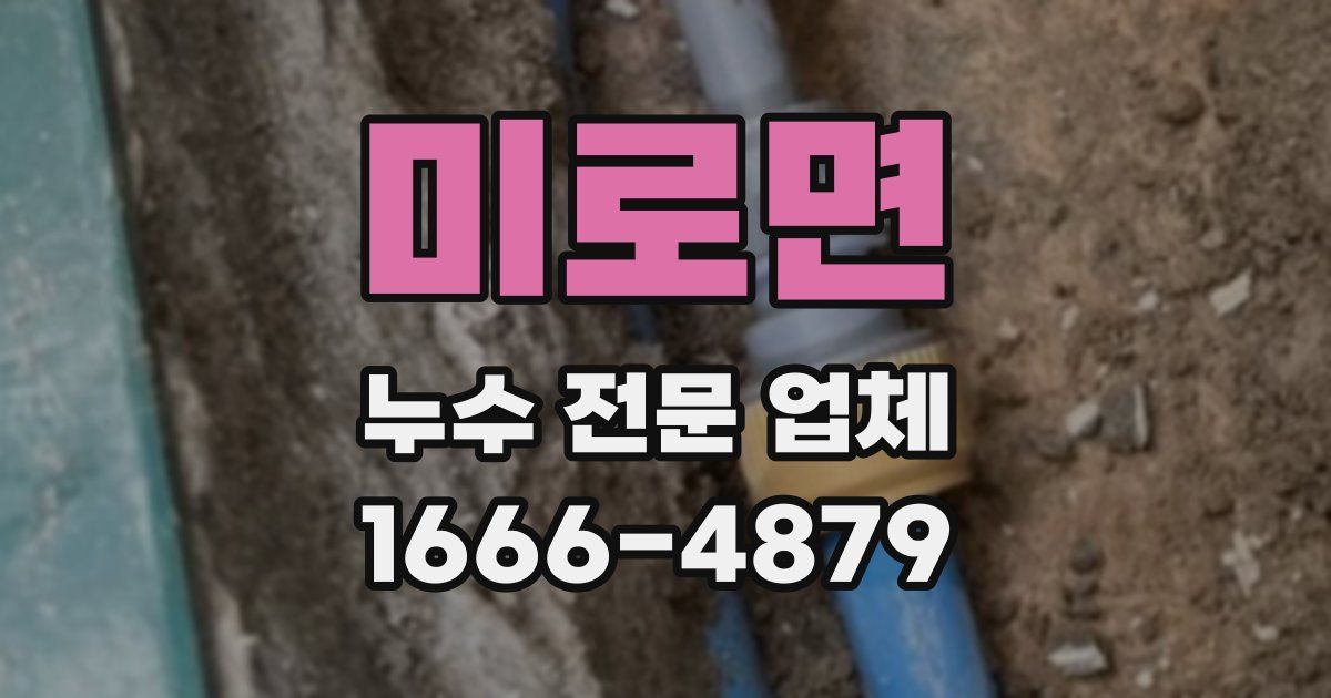 미로면 누수 전문 업체