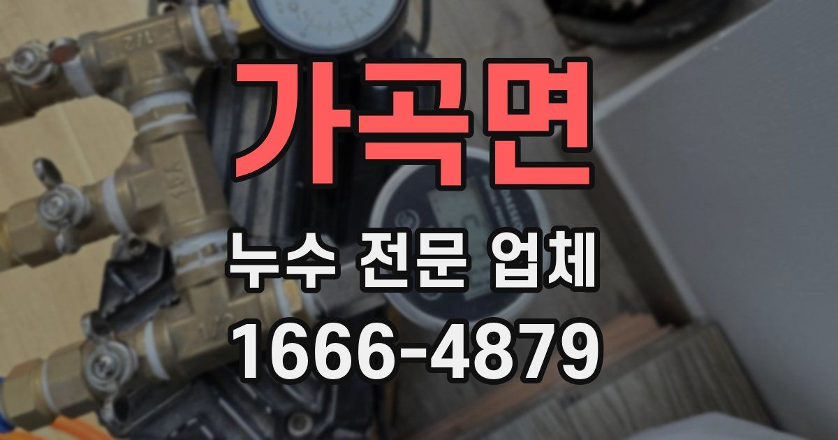가곡면 누수 전문 업체