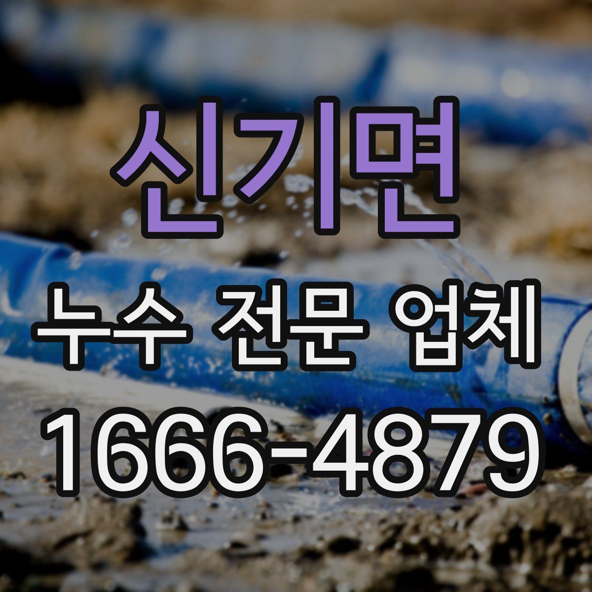 신기면 누수 전문 업체